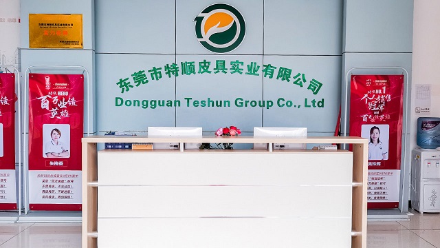 Dongguan Teshun Group Co., Ltd. Tote Bag