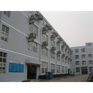 Wenzhou Shenghang Belt Co., Ltd. Women's Belt