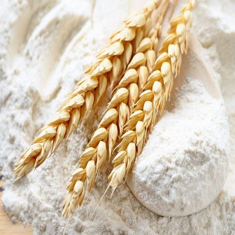 Wholesale high-quality flour improver widely used in food and feed industries Pure Natural Vegetable Protein Vital Wheat Gluten