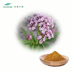 Factory Supply Valerian Extract 5:1, Valerian Powder Extract for Dietary Supplement