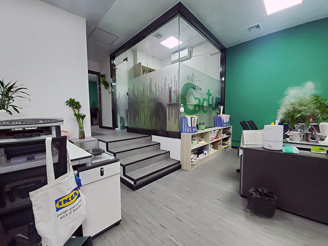 Guangzhou Cactus Adhesive Materials Co., Ltd. Paint Protection Film