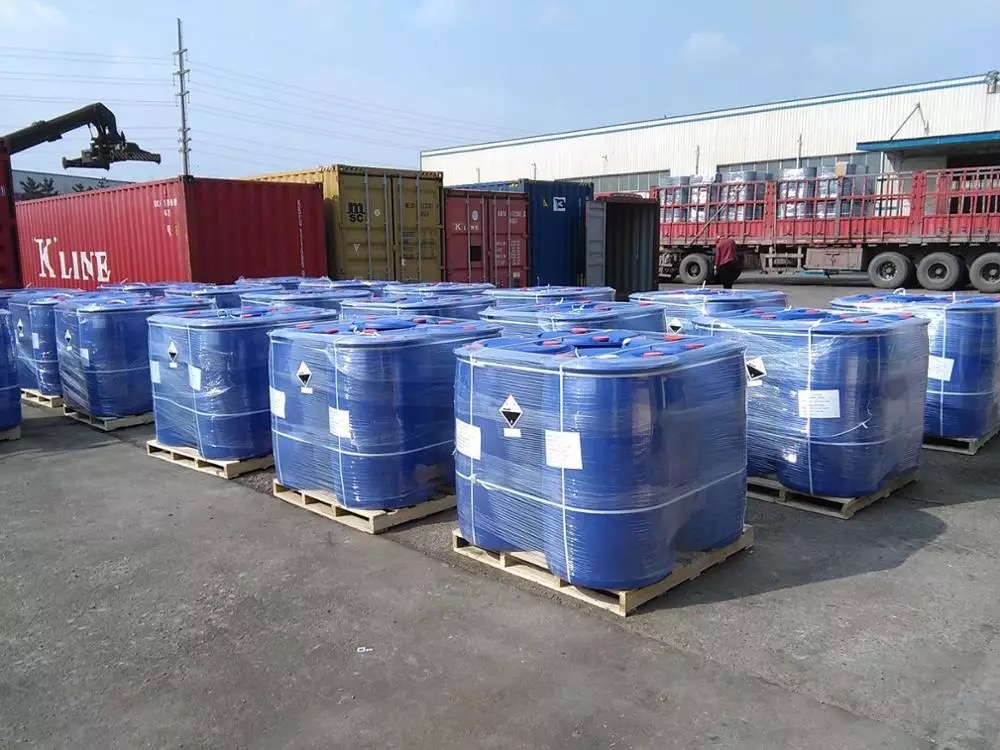 Longkou Ocean Industry & Trade Co., Ltd. factory image 2