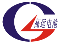 Company icon
