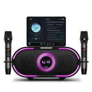 RHM RM-K666 PLUS New Arrival RGB Plastic Bluetooth Karaoke Speaker Wireless Mobile Phone AUX USB Outdoor Karaoke Home Theatre