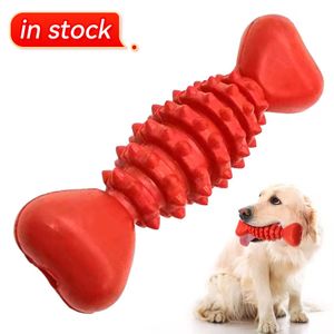 In Stock Natural Rubber Dog Bone Shape Teeth Cleaning Interactive Dog Toys