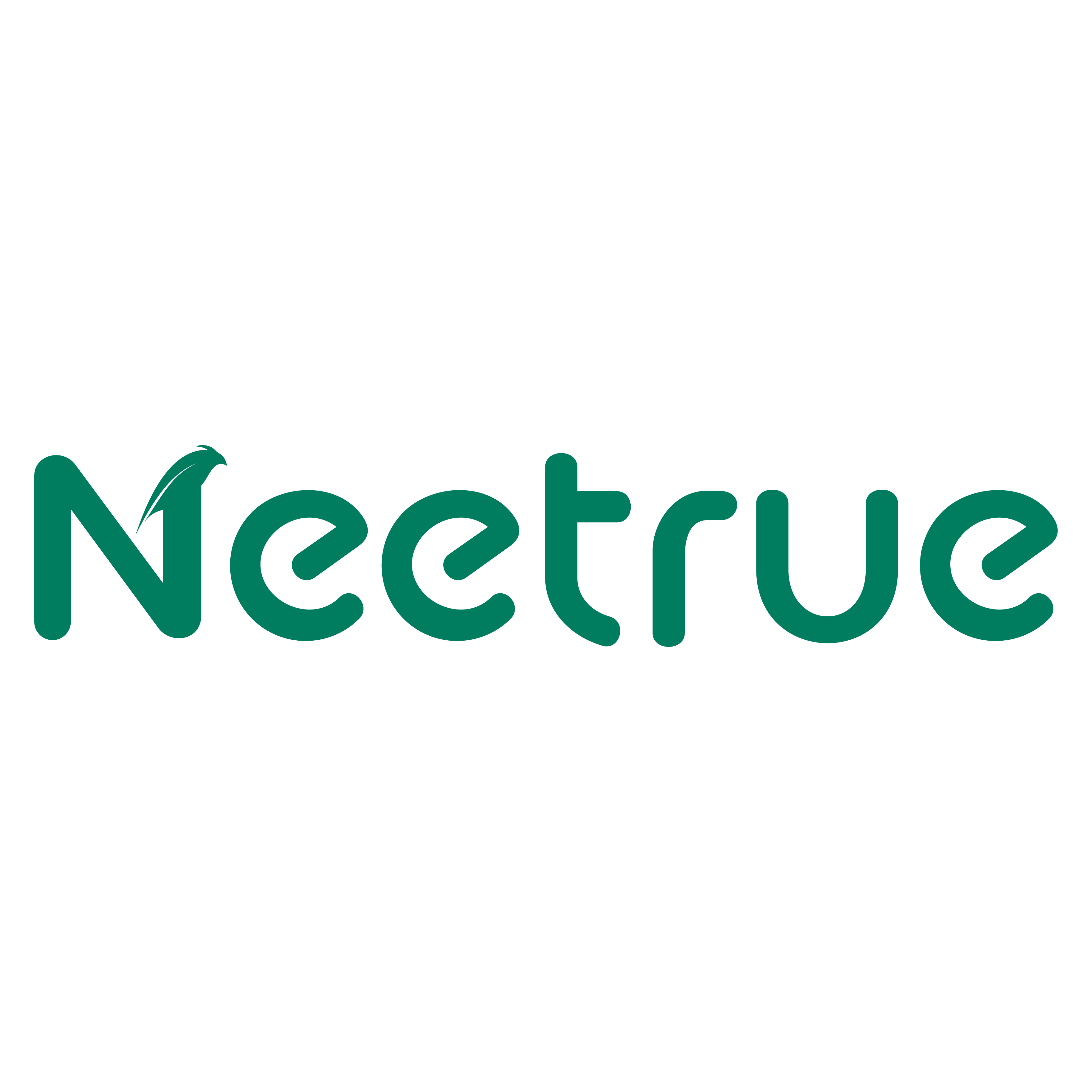 Hangzhou Neetrue Irrigation Facilities Co., Ltd. logo