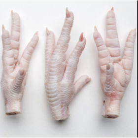 Chicken breast bulk Supplier, Frozen Chicken Feet, Quarter Chicken Leg,