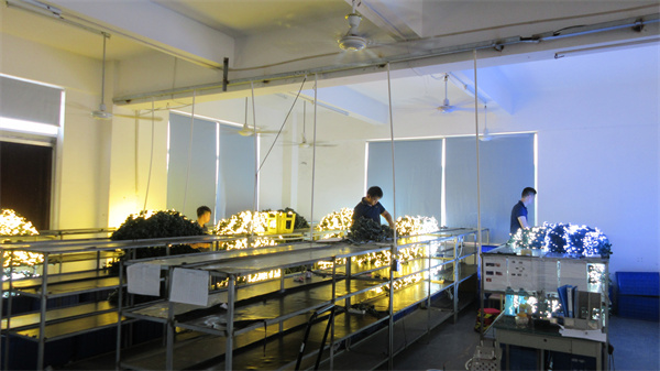 Zhangzhou Go Win Lighting Co., Ltd. LED Christmas lights