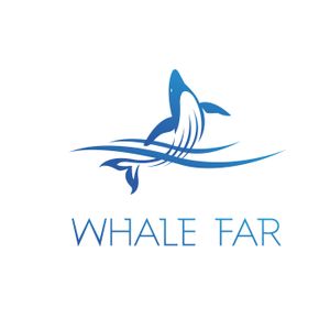 Company icon