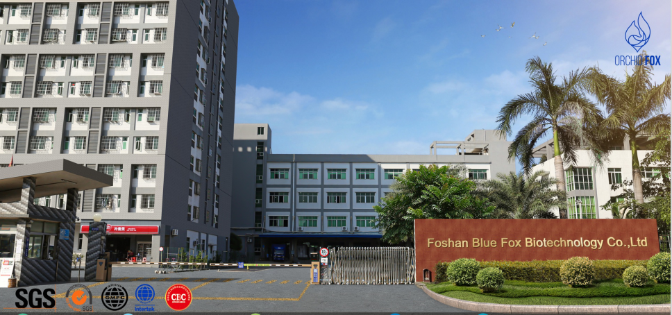 Foshan Blue Fox Biotechnology Co., Ltd. Nail Polish
