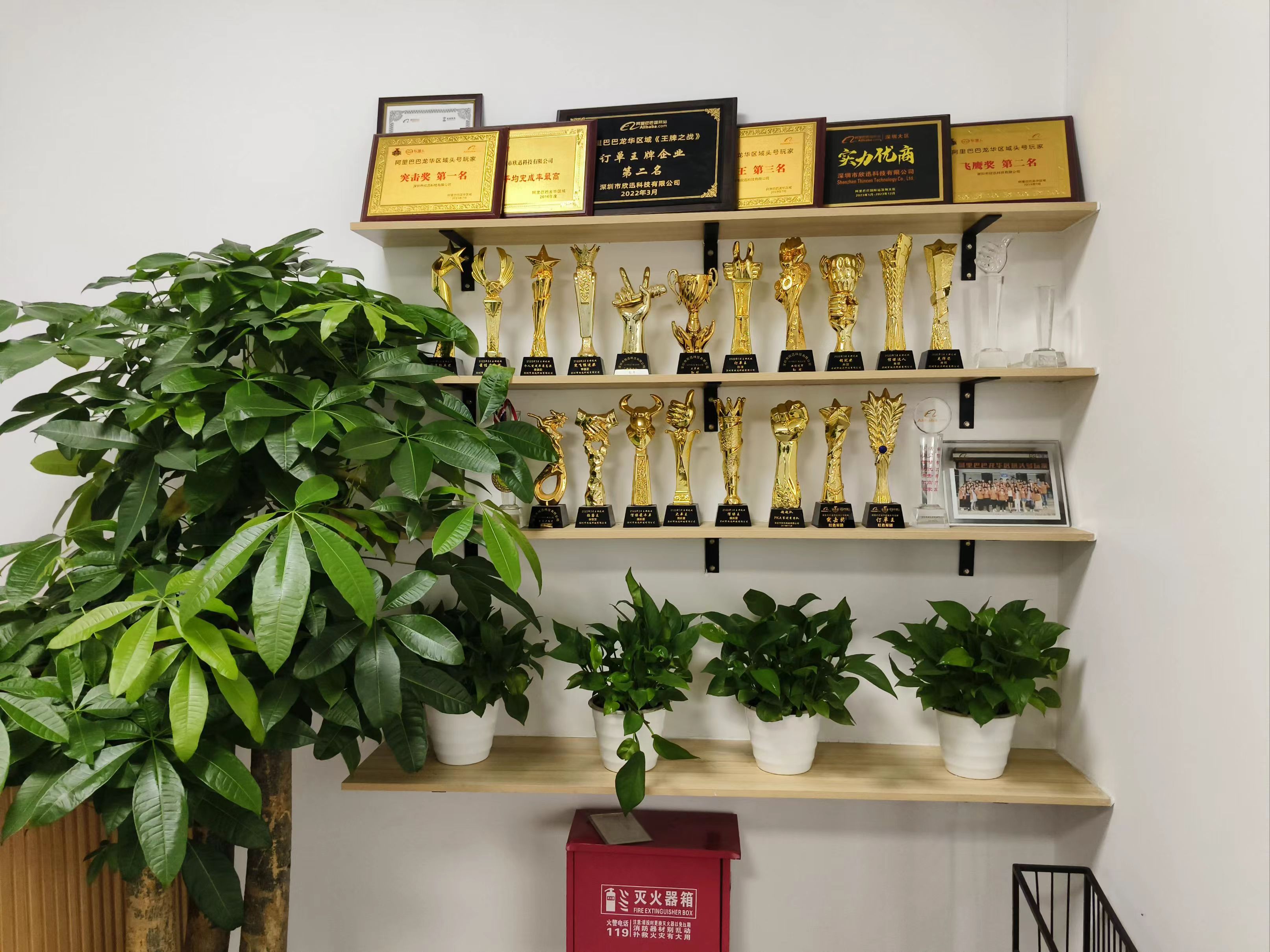 Shenzhen Qinyan Bio-Tech Co.,ltd Dietary Supplements