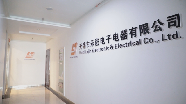 Wuxi Lejin Electronic & Electrical Co., Ltd. LED String Light