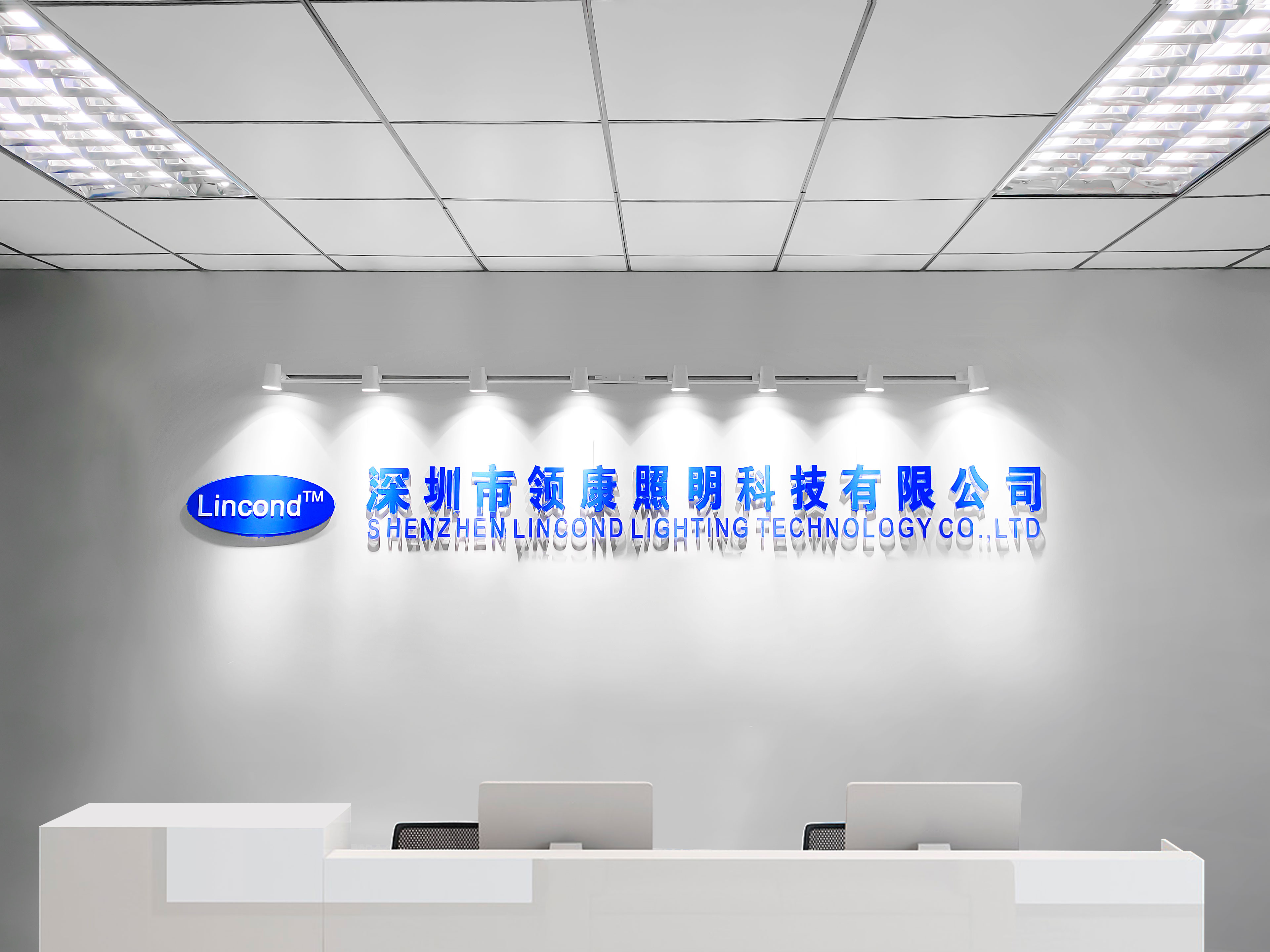Liang Hsin Lighting (Shenzhen) Co., Ltd. Lighting Fixtures