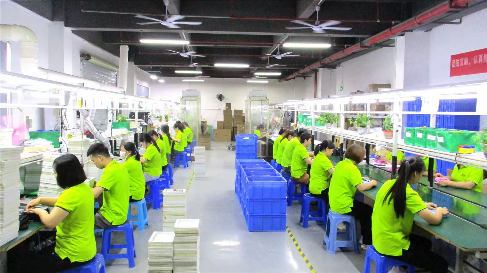 Shenzhen Veidoo Digital Vision Co., Ltd. factory image 6