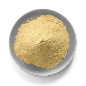 High quality Cheap Price Hot sale Poultry feed High Protein 60% Cerevisiae Yeast powder