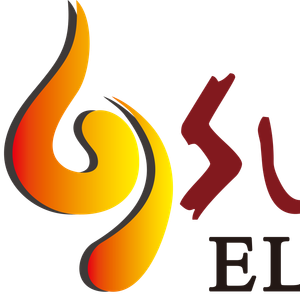 Company icon