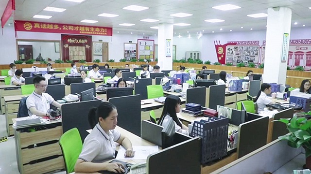 Dongguan Teshun Group Co., Ltd. Cooler Bag