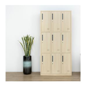 9 Door  Lockers Metal School Clothes Locker Cabinet with Key Lock for School Storage Living Room Nine Drawer Lockers