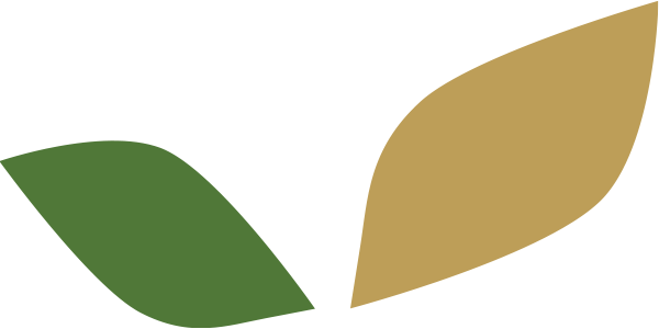 B.A.B. Agrarberatung GmbH Wheat Grain
