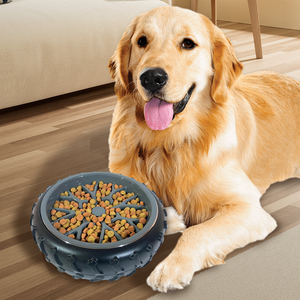 Wellfine Spill Proof Stainless Steel Pet Food Slow Eating Bowls Silicone Portable Travel Dog Water Bowl No Spill Water Bowl