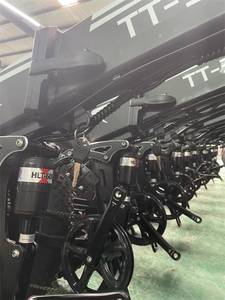 Huizhou Xingqishi Sporting Goods Co., Ltd. Electric Mountain Bike