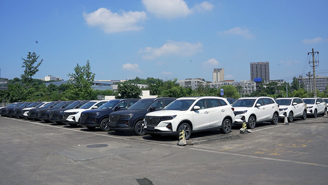 CHONGQING HAIPAN (GROUP) CO., LTD. Automotive Metal Stamping Parts
