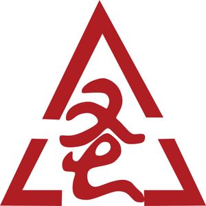 Company icon