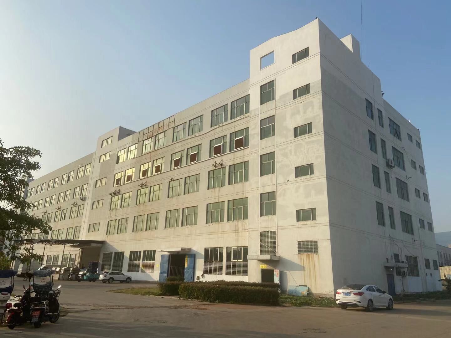 Zhangzhou Gangteng Trade Co., Ltd. factory image 1