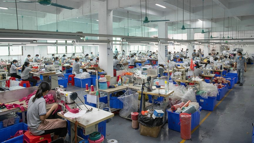 Dongguan Hanyang Pet Products Co., Ltd. Pet Leash