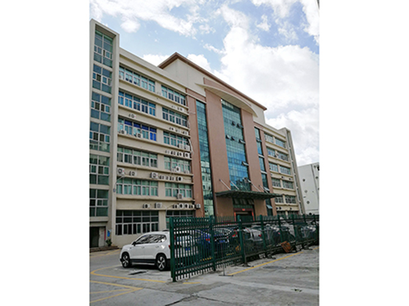 Shenzhen Weihang Shidai Electronics Co., Ltd. AI Smart Glasses