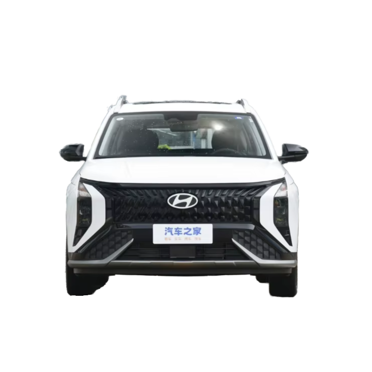 Tianiin Yuefu International Trade Co., Ltd. Brand New 2.0L Pro GLS Off-Road SUV MufasaLUX 2.0L Turbo Petrol Automatic Gearbox Rear Camera Dark Interior Color Hot Sale!