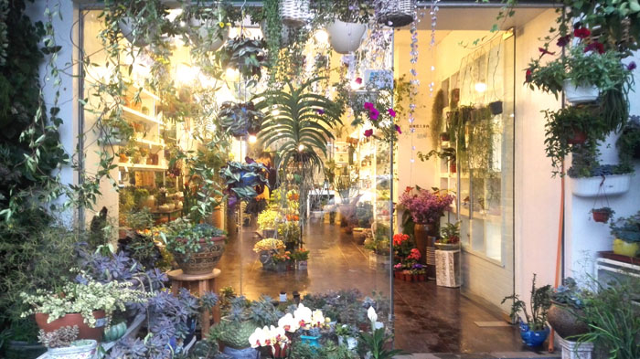 Shenzhen Defeng Agriclture Import & Export Co., Ltd. fresh cut flowers