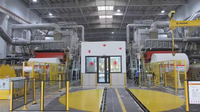 Gold Hongye Paper Group Co., Ltd. Jumbo Roll Tissue
