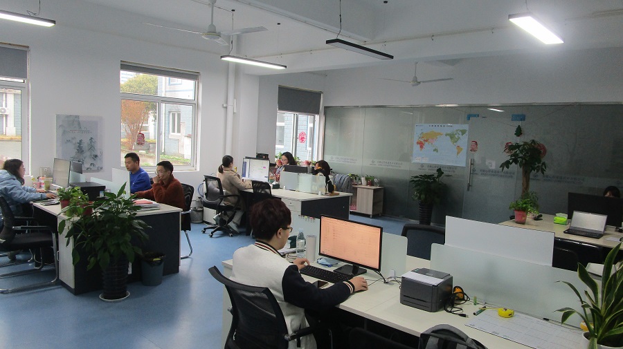 Anhui Comfytouch Ltd Pillows
