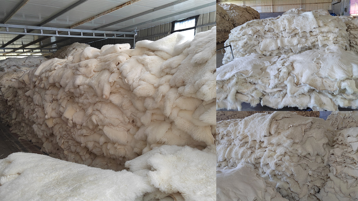 Henan Irwoods Industries Co., Ltd. Fur carpets
