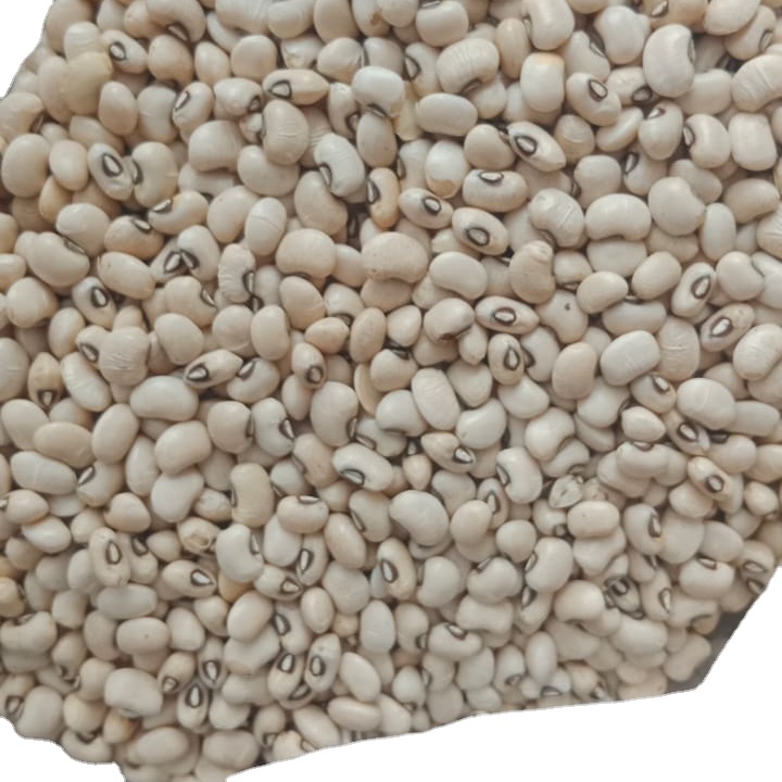Brown Eye Bean Natural Dry Light Beans Good Product Bulk White Brown Kidney Bean for food Brazil Origin Chawali Highest quality