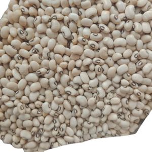Brown Eye Bean Natural Dry Light Beans Good Product Bulk White Brown Kidney Bean for food Brazil Origin Chawali Highest quality