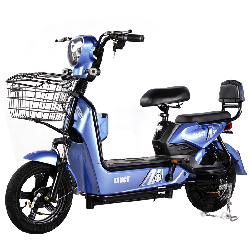 Shandong Laide Precision Technology Co., Ltd. China Supply City 48V Two Wheel Small Moped Electric Bike City 48V Two Wheel High Quality E Bike for Men women