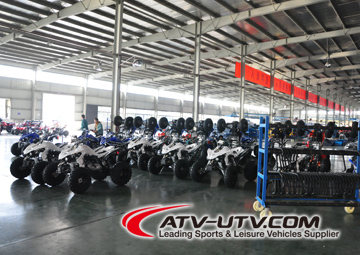Wuyi Wiztem Motion Apparatus Company Limited Electric Scooters