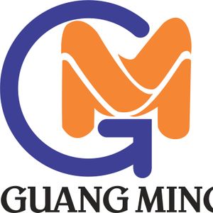 Company icon
