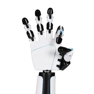 Articulated Hand And Fingers Easy To Pose Model Display