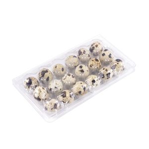 Top Ranking Disposable Biodegradable 15 Holes Quail Packaging  Eggs Tray PET Plastic Punnets Clamshell Plastic Container
