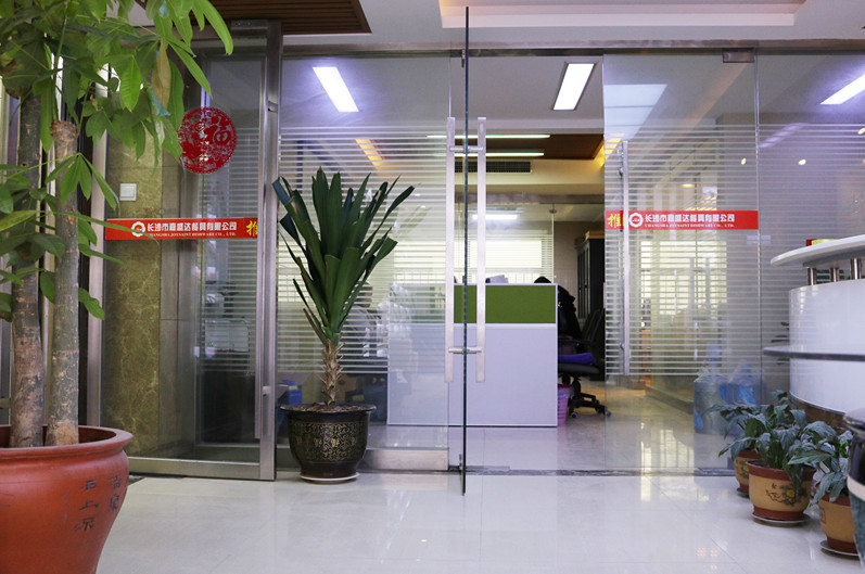 Changsha Joysaint Import & Export Co., Ltd. Ceramic Tableware