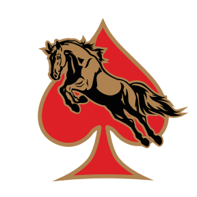 Guangdong Wangjing Card Game Tech Co., Ltd. logo