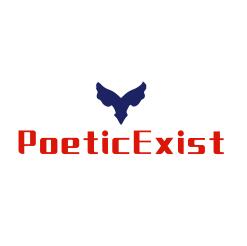 Jinhua PoeticExist Technology Co., Ltd. logo