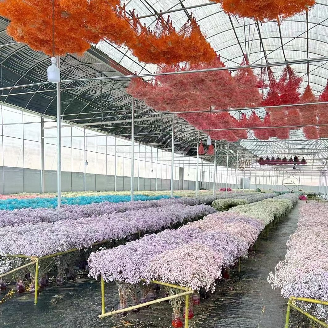 Yunnan Huanyou Import and Export Trade Co., Ltd. Immortal flower