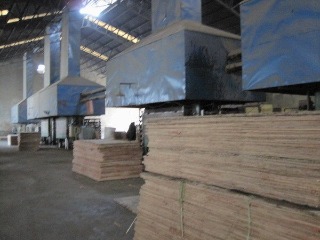 Linyi Gaotong Import & Export Co., Ltd. Door Skin