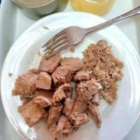 Tuna canned fish 250G cans