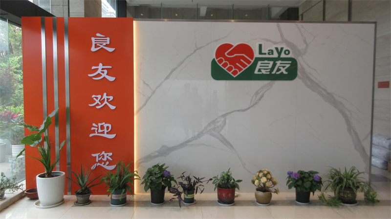 Jiaxing Layo Import and Export Group Co., Ltd. Vacuum Cleaner Filter