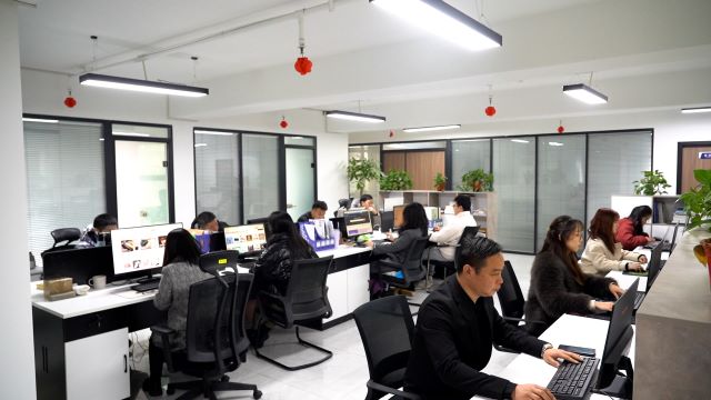 Henan Zhongmai Trading Co., Ltd. Eye shadow
